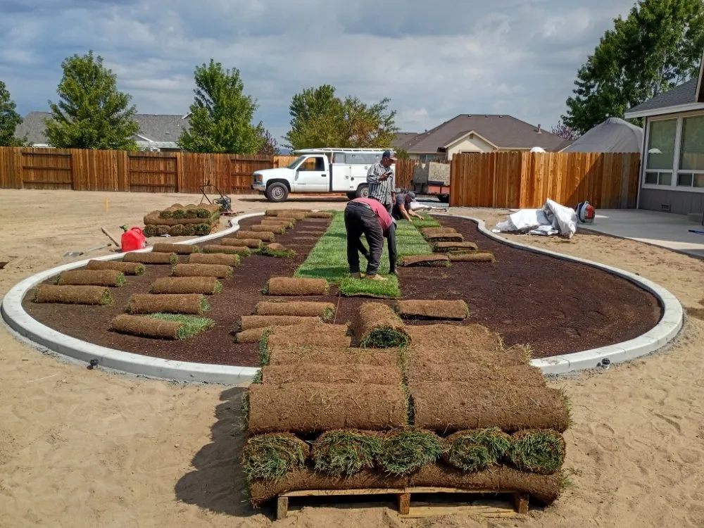 Trusted landscaping services for year-round maintenance across Carson City, NV - OEL Landscape
