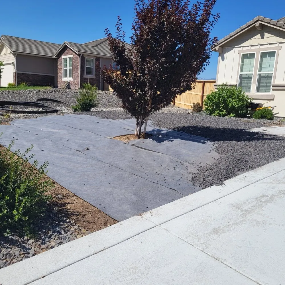 Reliable lawn mowing service in Carson City, NV by OEL Landscape