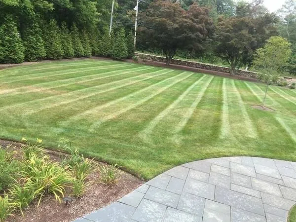 Custom yard maintenance experts serving Joliet, IL - O&F Landscape
