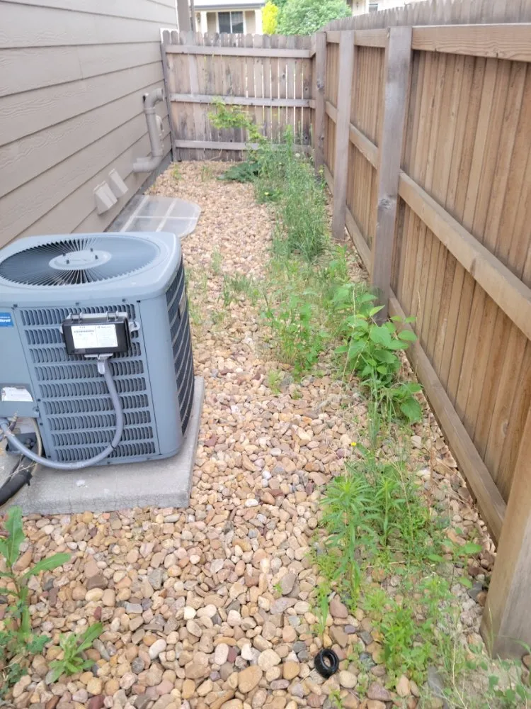 Expert lawn mowing service experts serving Evans, CO - Of The KING Services