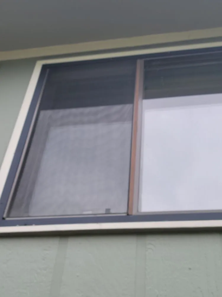 Affordable yard maintenance in Evans, CO by Of The KING Services