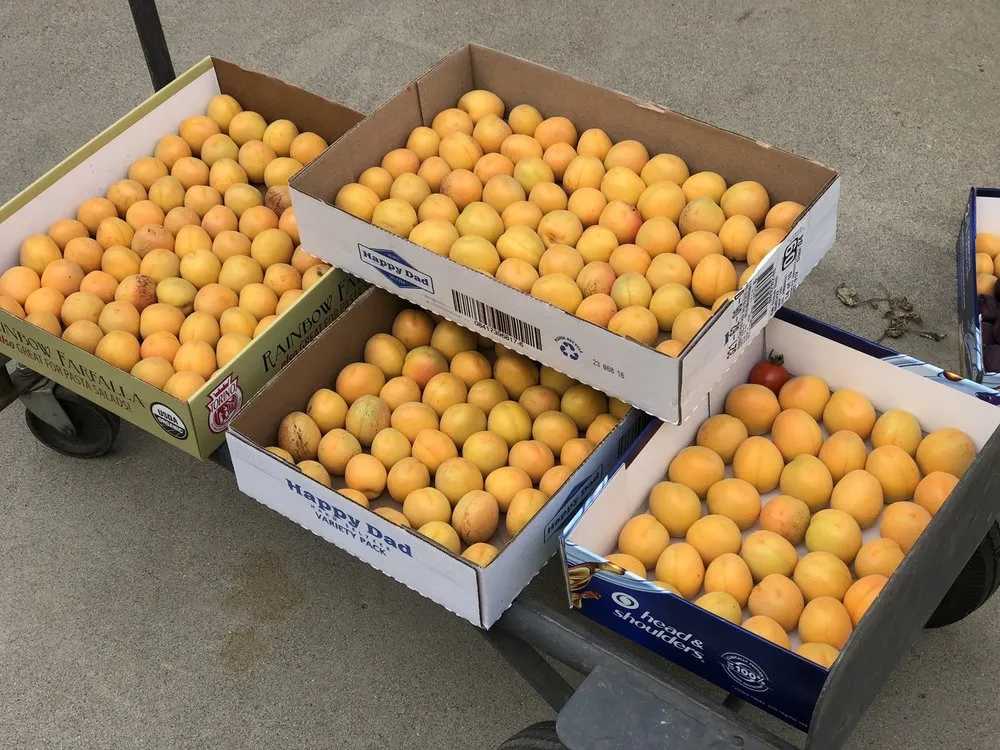 Custom yard maintenance in Chino, CA by O.F. Wolfinbarger