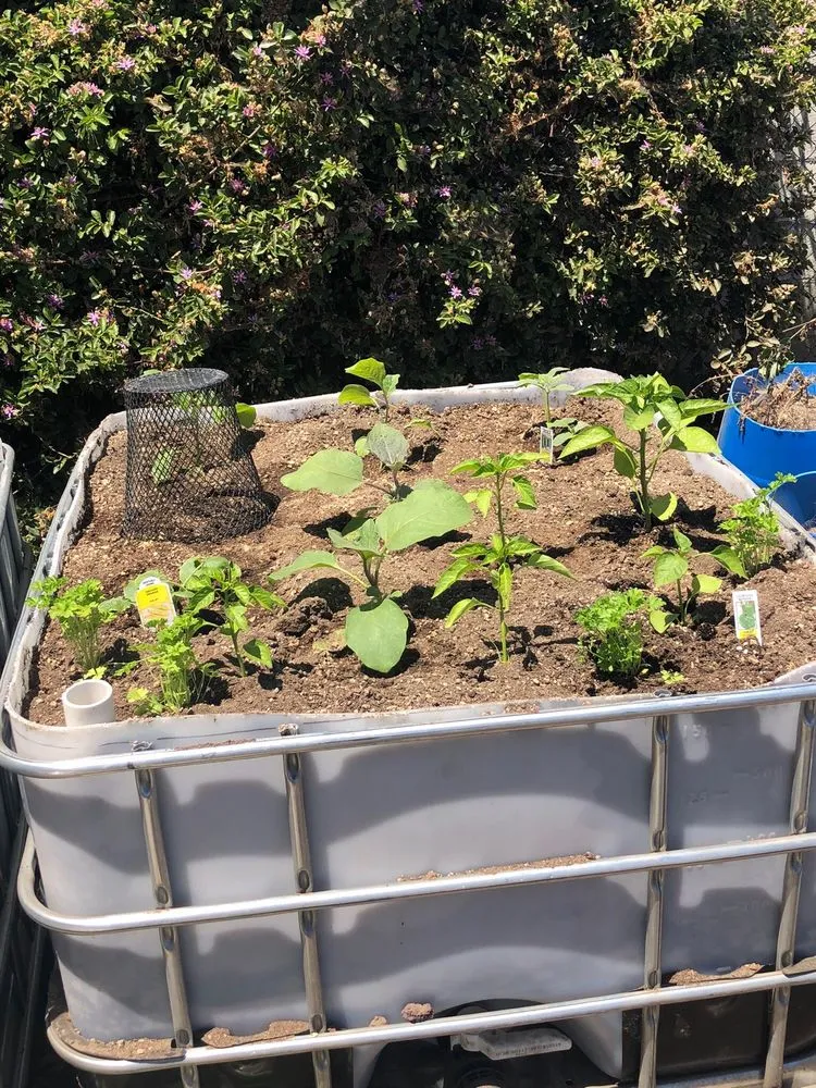 Local lawn care service near you in Chino, CA by O.F. Wolfinbarger