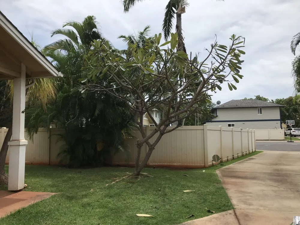 Affordable outdoor landscaping in Aiea, HI by Ofa Landscaping & Masonry Experts