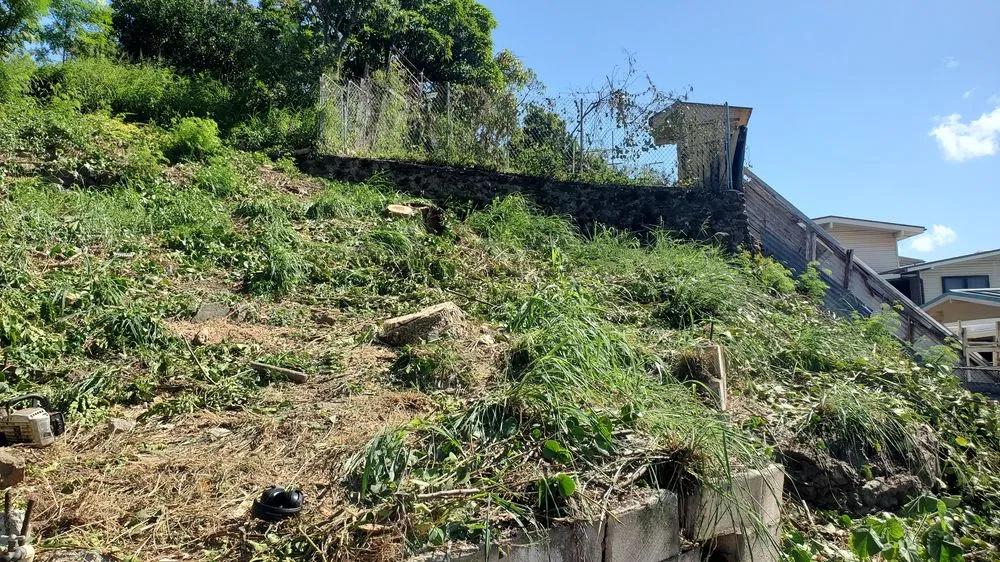 Expert garden landscaping for residential properties in Aiea, HI by Ofa Landscaping & Masonry Experts