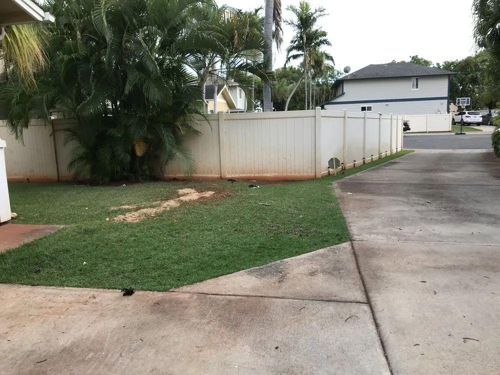 Affordable yard cleanup service in Aiea, HI - Ofa Landscaping & Masonry Experts
