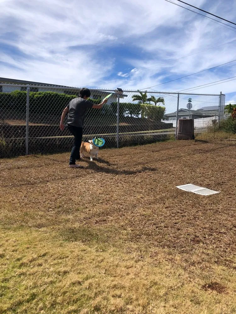 Reliable yard maintenance for homes in Aiea, HI by Ofa Landscaping & Masonry Experts