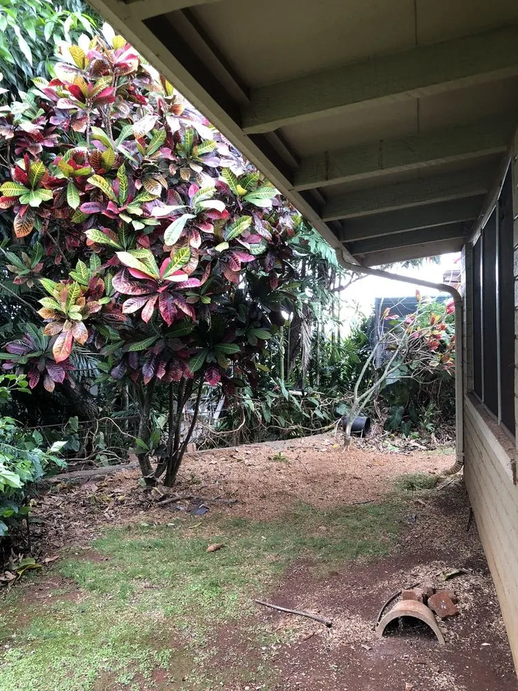 Custom garden landscaping for beautiful yards in Aiea, HI by Ofa Landscaping & Masonry Experts