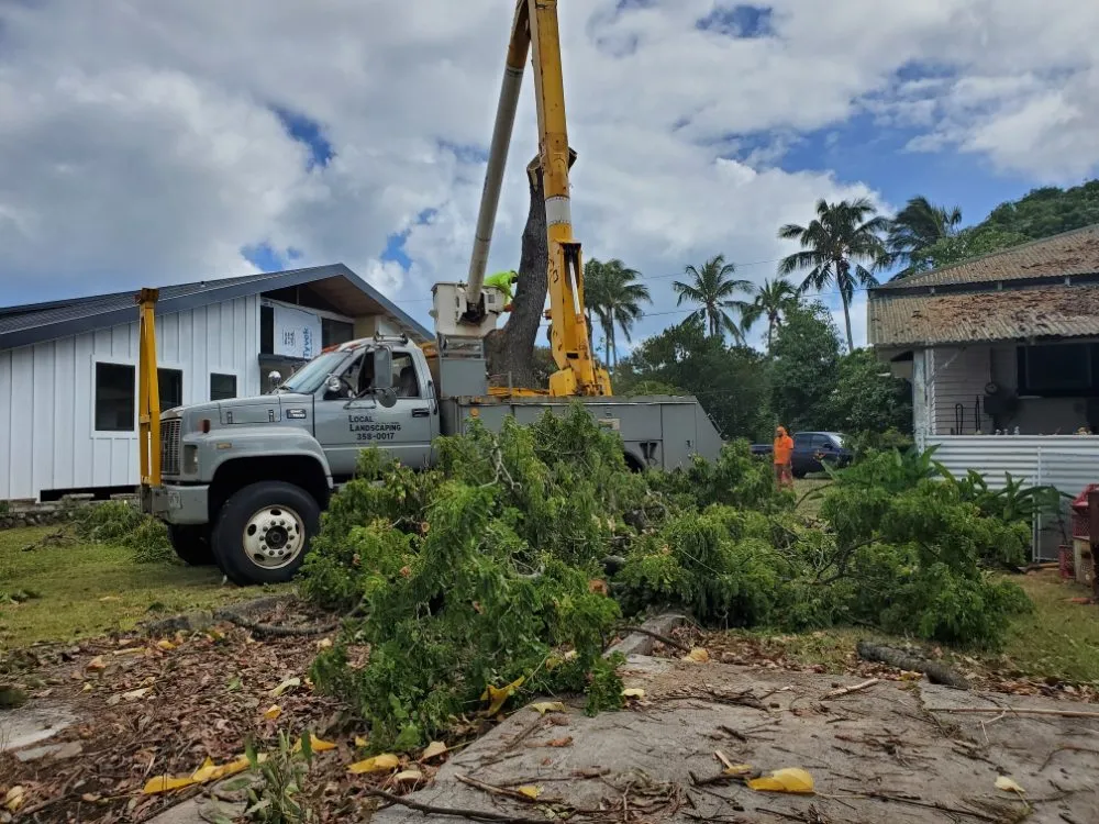 Professional lawn mowing service near you across Aiea, HI - Ofa Landscaping & Masonry Experts