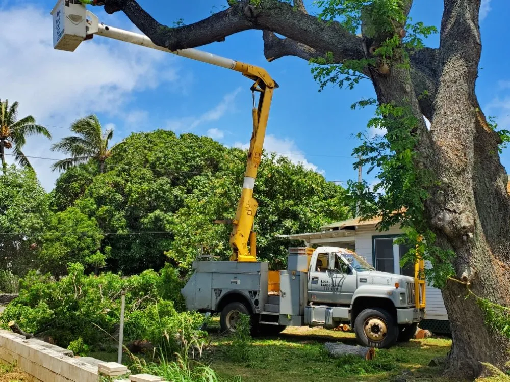 Professional landscape installation for outdoor upgrades across Aiea, HI - Ofa Landscaping & Masonry Experts