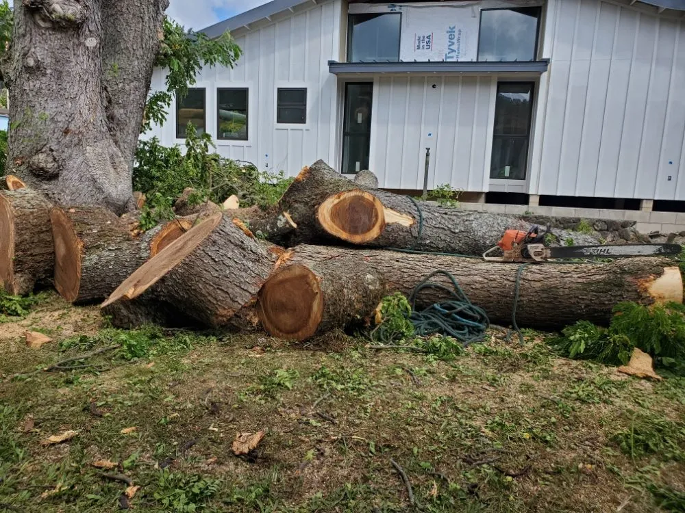 Trusted residential landscaping in Aiea, HI - Ofa Landscaping & Masonry Experts