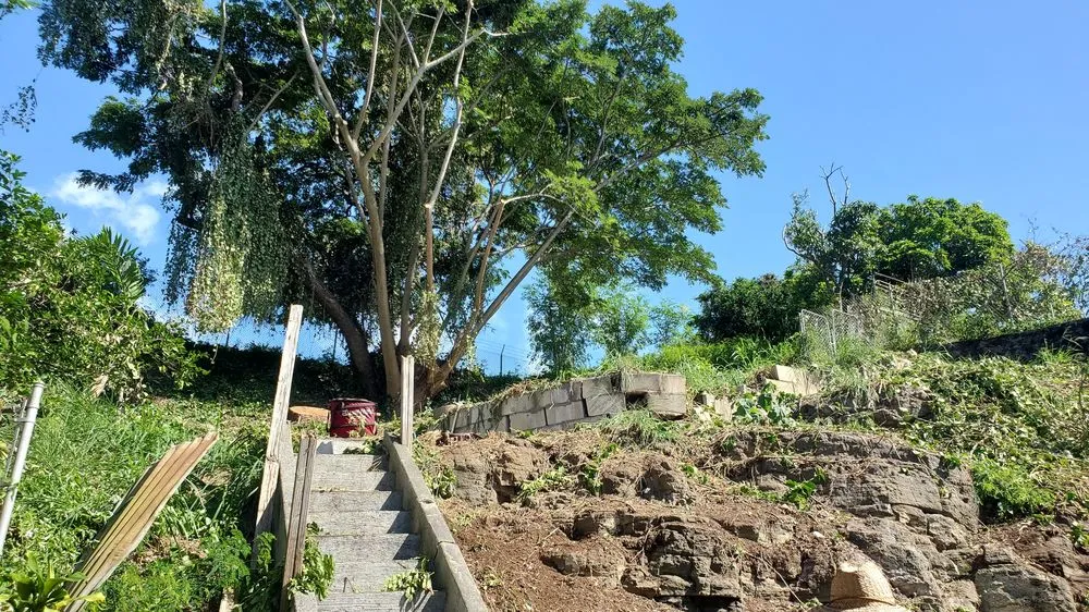 Local landscape design with custom design in Aiea, HI by Ofa Landscaping & Masonry Experts