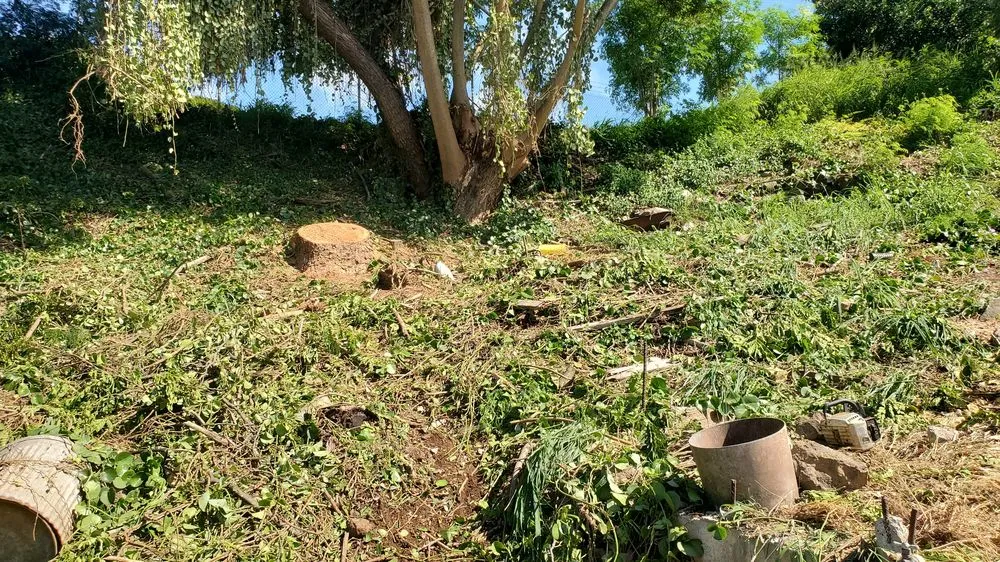 Reliable yard maintenance in Aiea, HI - Ofa Landscaping & Masonry Experts