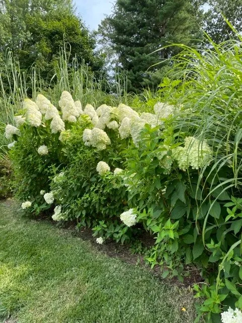 Custom outdoor landscaping near you across Ofallon, MO - O'Fallon Landscaping and Hardscapes