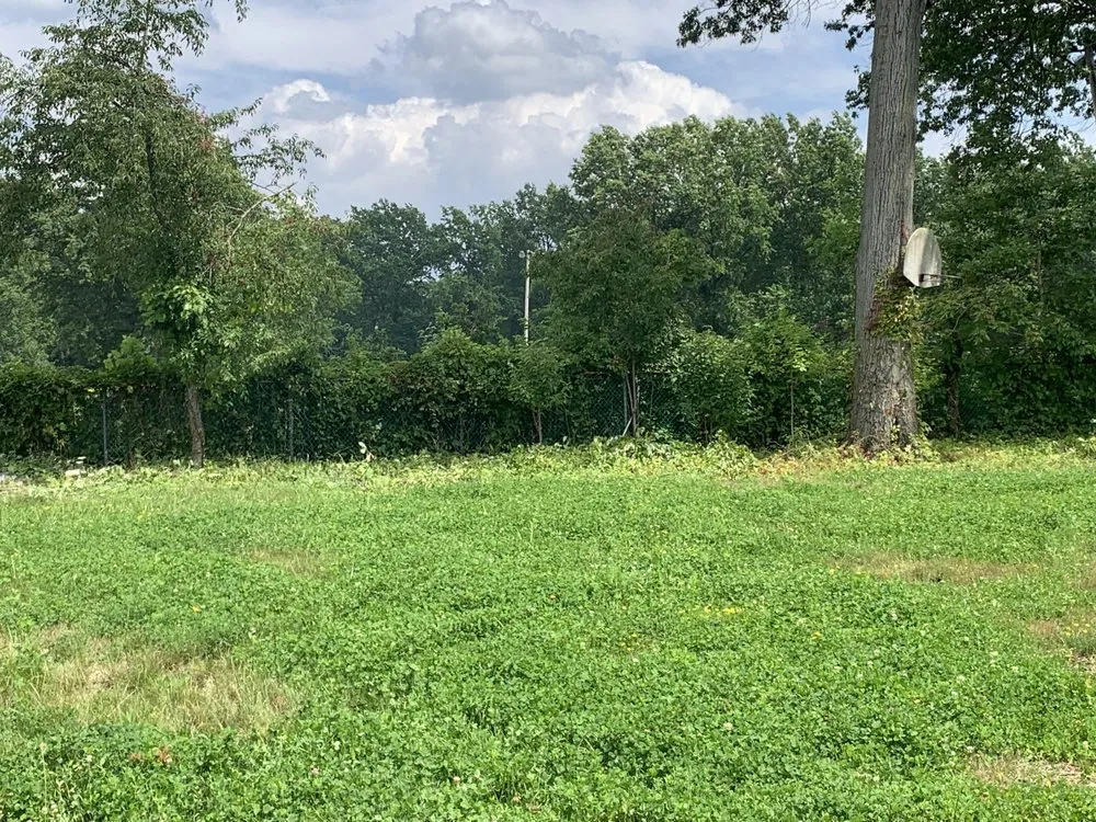 Trusted lawn care service for residential properties across Lorain, OH - OFE Home Improvements