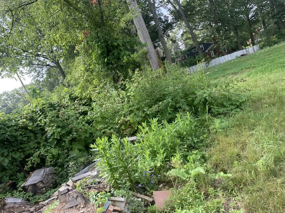 Top-rated landscaping services for beautiful yards in Lorain, OH by OFE Home Improvements