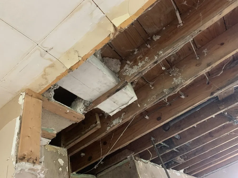 Professional yard cleanup service in Lorain, OH by OFE Home Improvements