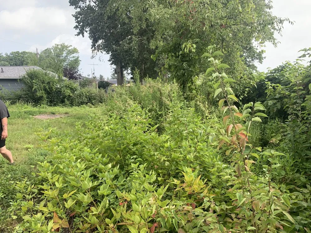 Custom garden landscaping near you in Lorain, OH by OFE Home Improvements