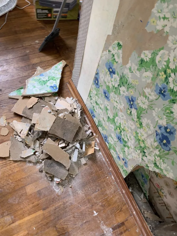 Reliable lawn care service experts serving Lorain, OH - OFE Home Improvements