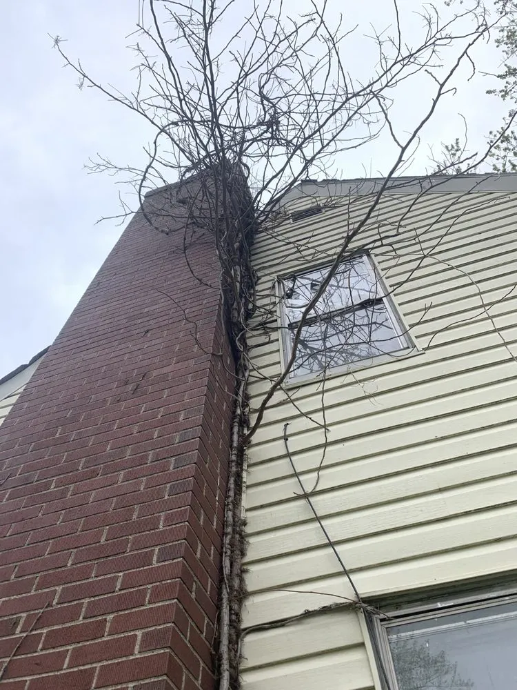 Affordable lawn mowing service in Lorain, OH by OFE Home Improvements