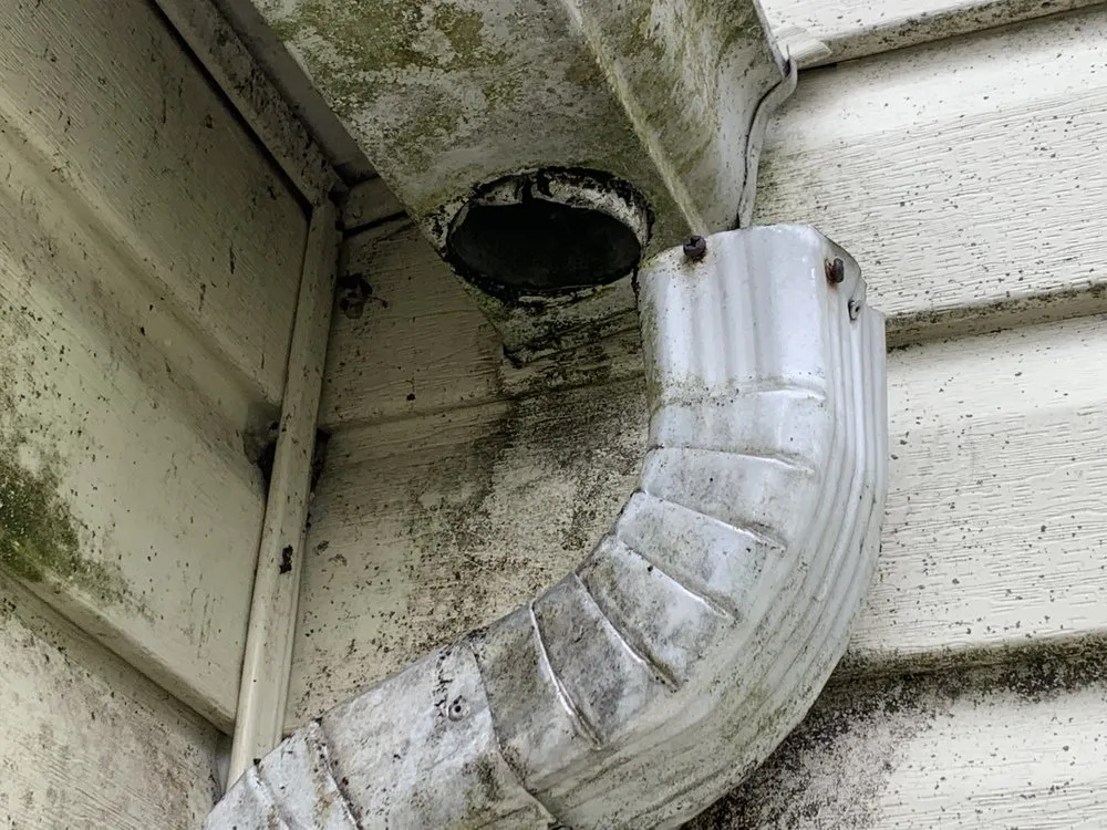 Affordable garden landscaping experts serving Lorain, OH - OFE Home Improvements