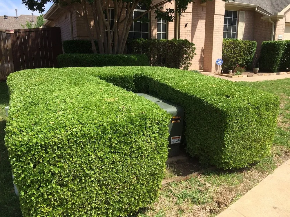 Local residential landscaping for outdoor upgrades in Waxahachie, TX by Off-Duty Lawn Care