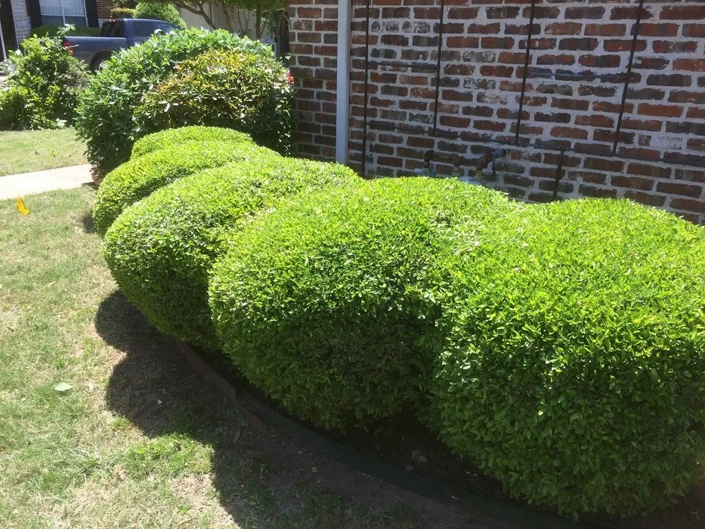 Top-rated yard maintenance for homes in Waxahachie, TX by Off-Duty Lawn Care