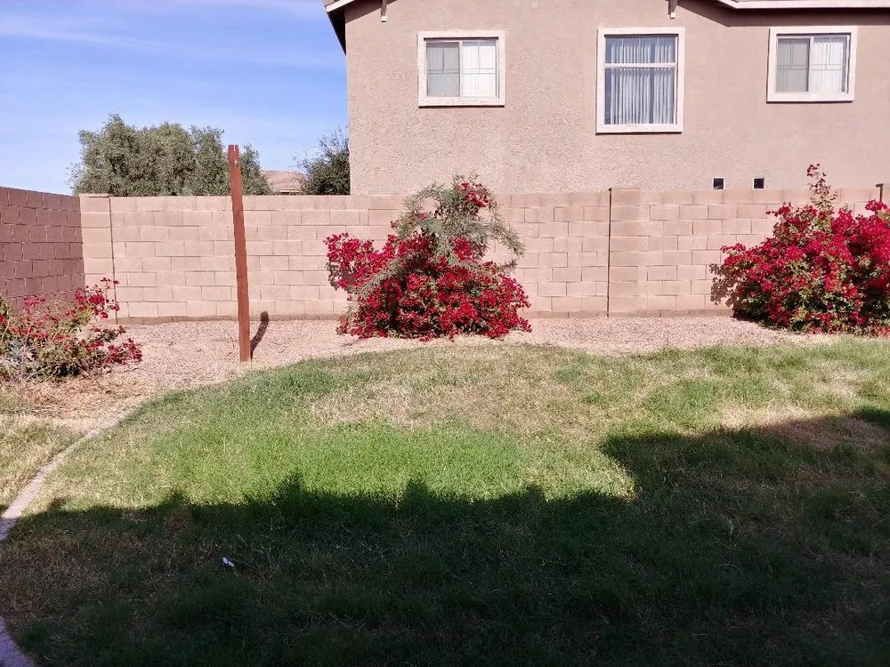 Affordable yard maintenance for residential properties in Tolleson, AZ by Off Duty Maintenance and More