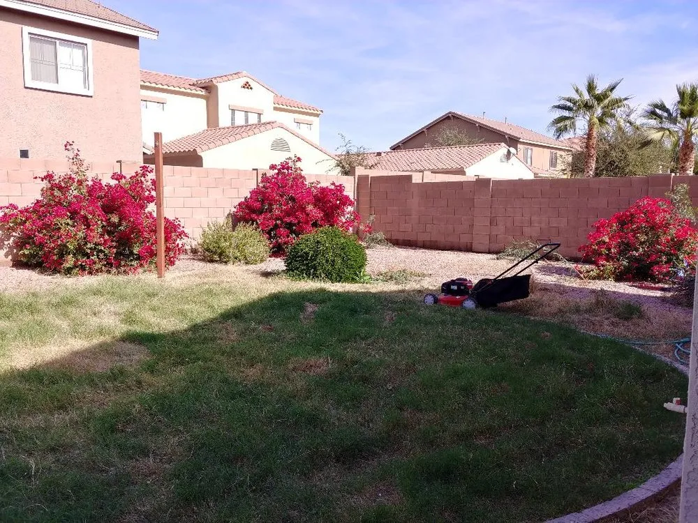 Expert lawn care service near you across Tolleson, AZ - Off Duty Maintenance and More