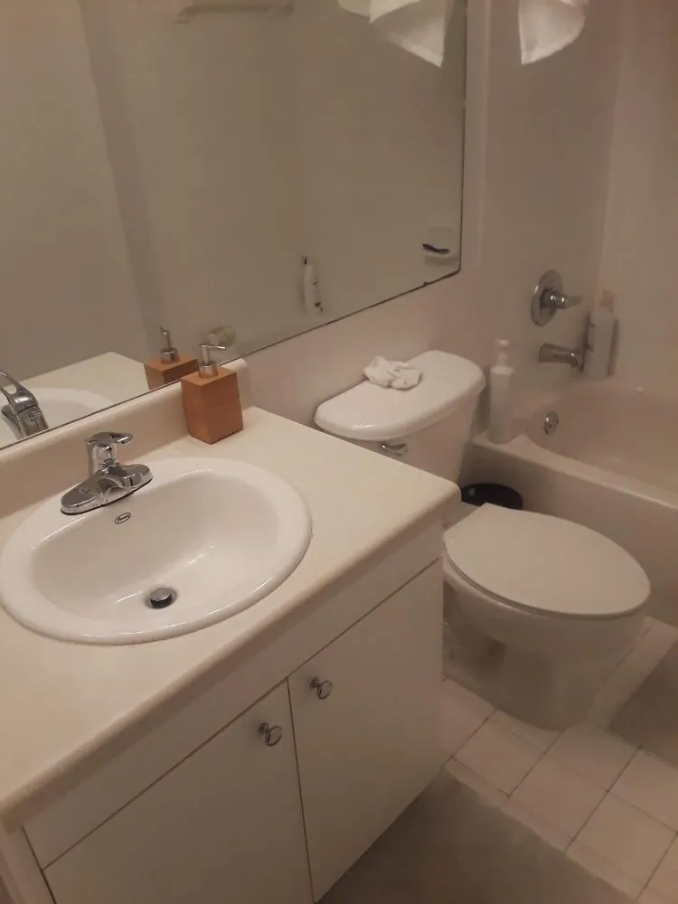 Affordable landscape installation experts serving Tampa Bay, FL - Off Glass Minor Repair & Maintenance