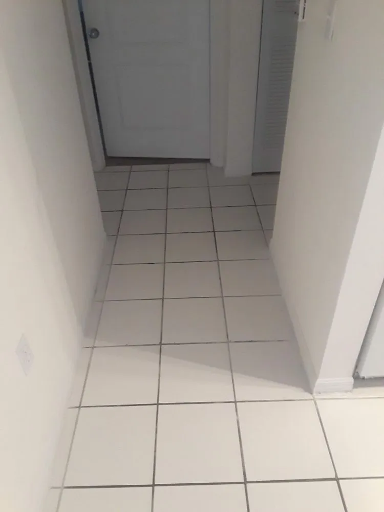 Expert residential landscaping in Tampa Bay, FL by Off Glass Minor Repair & Maintenance