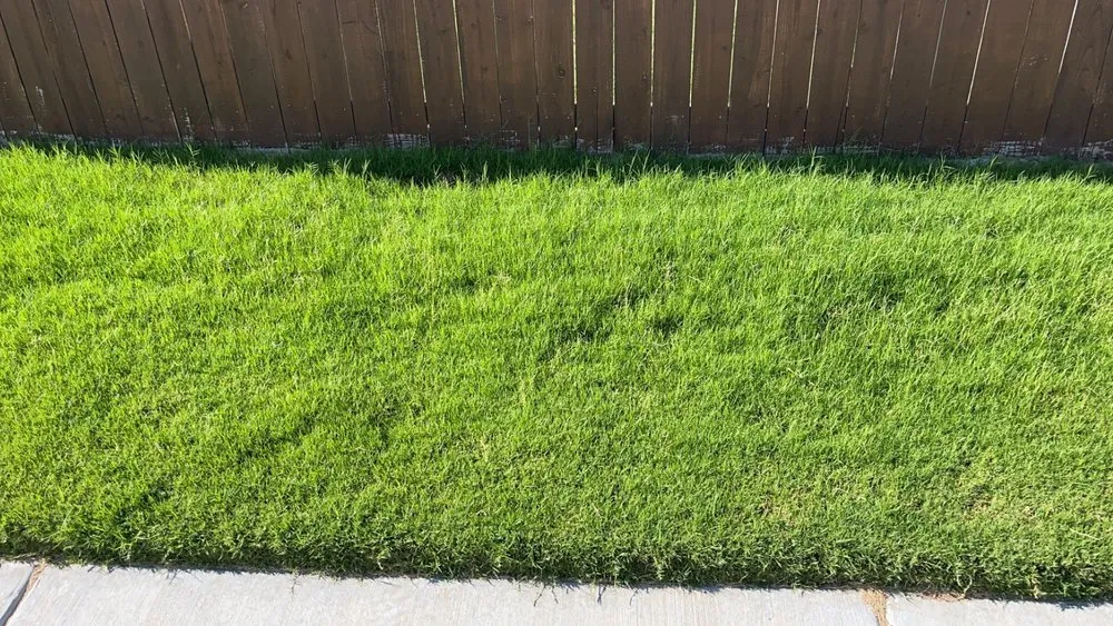 Trusted lawn care service experts serving Midland, TX - Off The Block Lawn Care Services