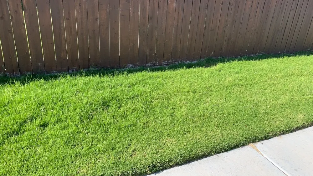 Affordable lawn care service in Midland, TX - Off The Block Lawn Care Services