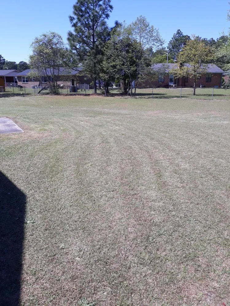 Trusted residential landscaping in Fayetteville, NC - Off The Ground Detail