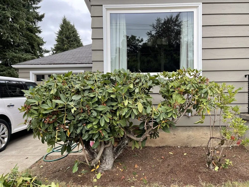 Affordable lawn care service for outdoor upgrades in Woodburn, OR by Off The Road Lawn Maintenance