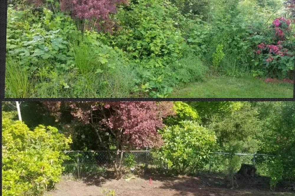 Expert outdoor landscaping experts serving Woodburn, OR - Off The Road Lawn Maintenance