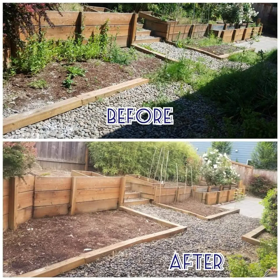 Local yard maintenance in Woodburn, OR by Off The Road Lawn Maintenance