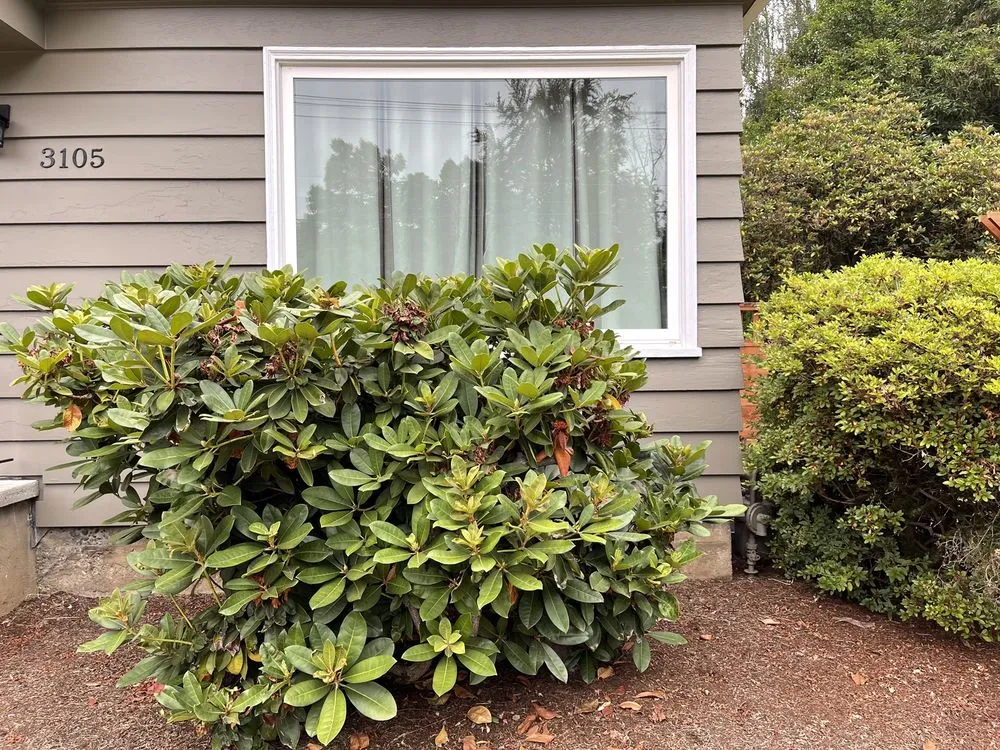 Top-rated lawn care service in Woodburn, OR - Off The Road Lawn Maintenance