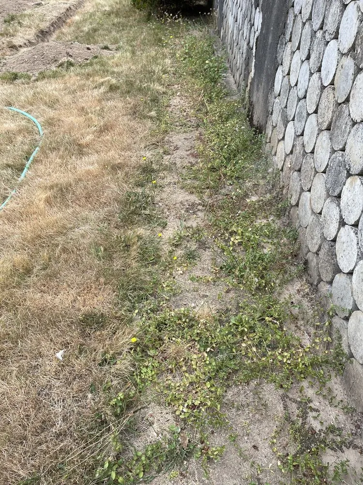 Custom lawn care service for homes in Woodburn, OR by Off The Road Lawn Maintenance