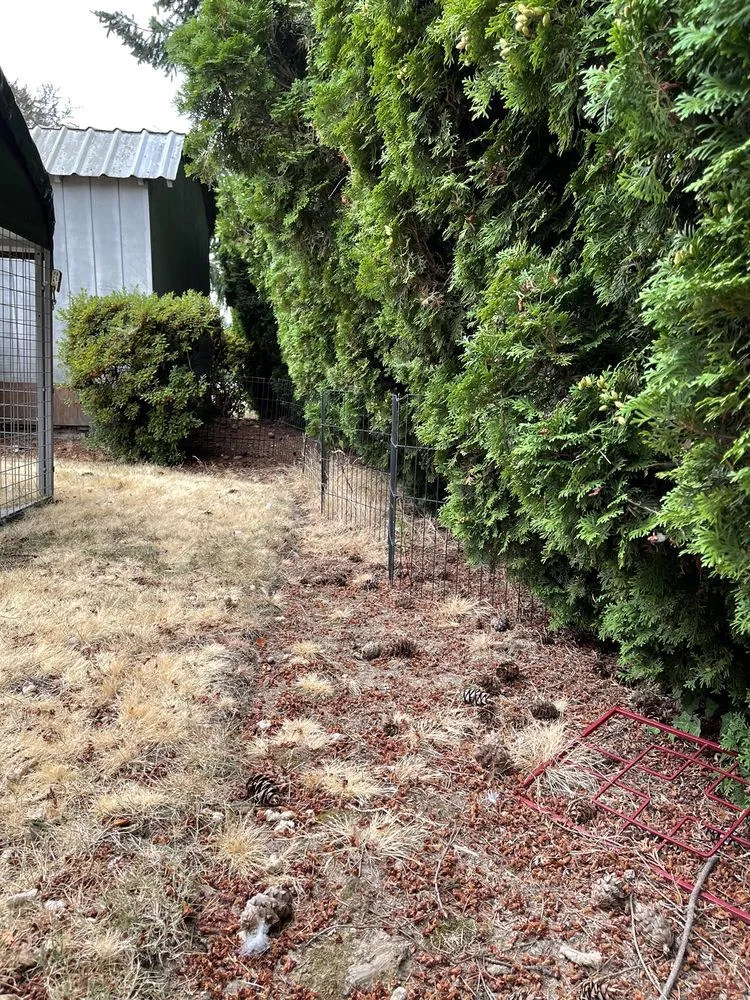 Professional landscape design for year-round maintenance in Woodburn, OR by Off The Road Lawn Maintenance