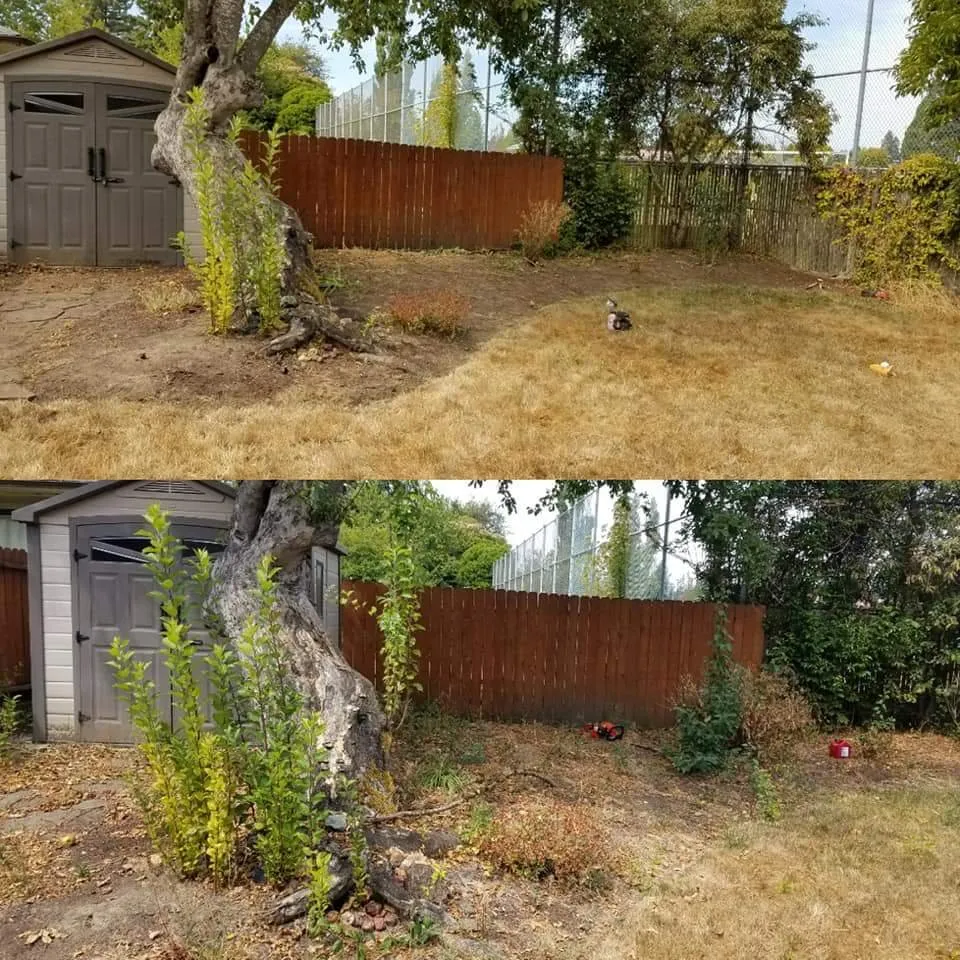 Custom lawn care service experts serving Woodburn, OR - Off The Road Lawn Maintenance