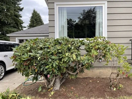 Off The Road Lawn Maintenance Logo