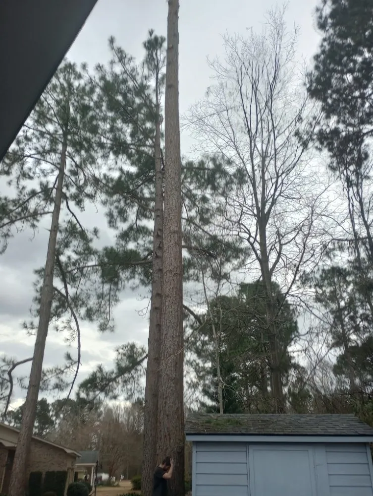 Expert outdoor landscaping in Charlotte, NC - Off The Top