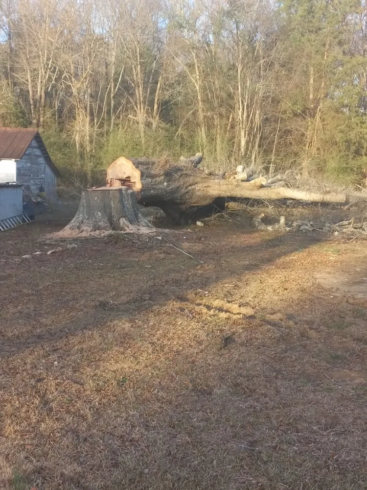 Professional landscaping services experts serving Charlotte, NC - Off The Top