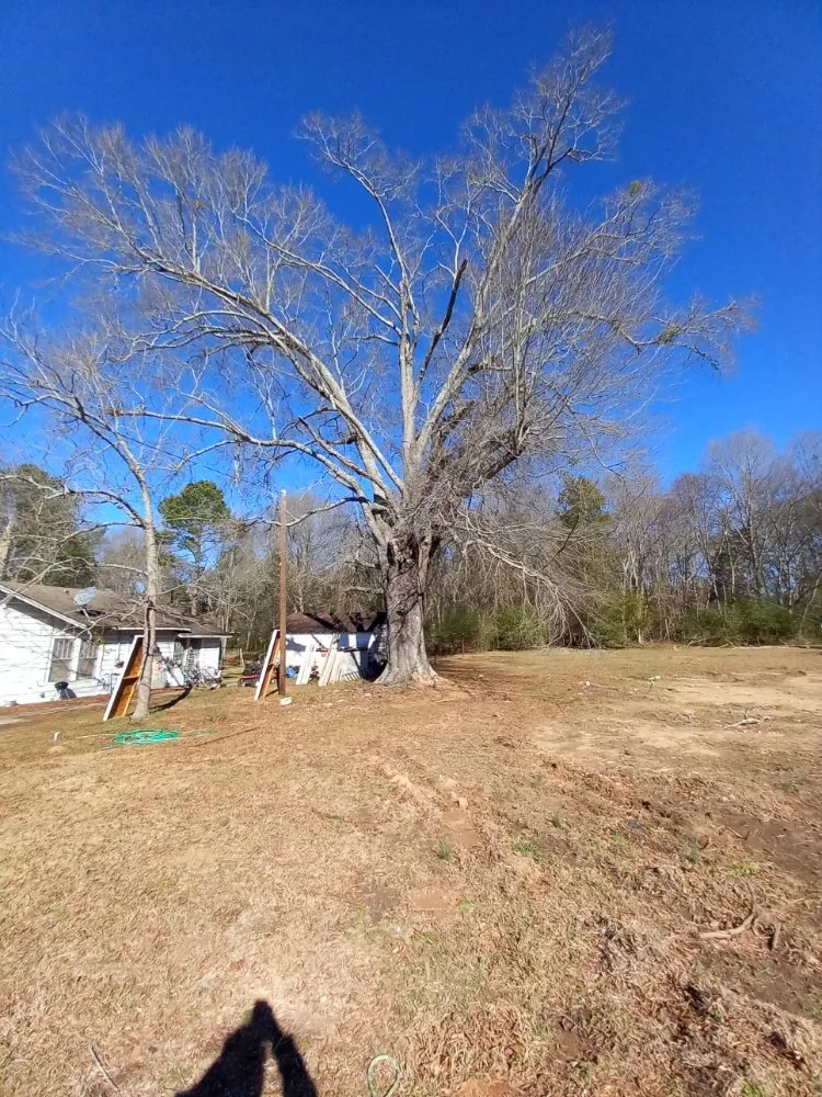 Expert lawn mowing service in Charlotte, NC - Off The Top