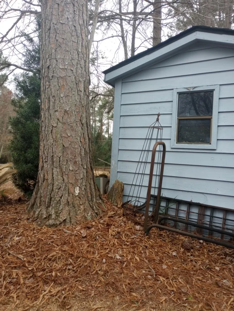 Reliable yard cleanup service in Charlotte, NC by Off The Top