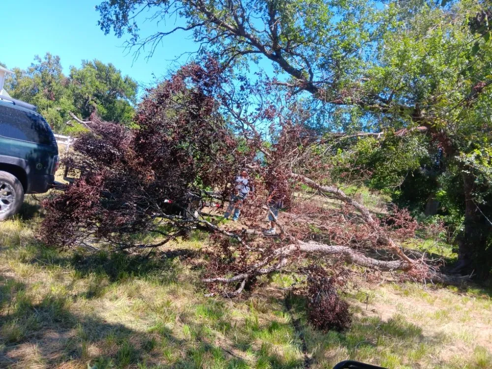 Expert yard cleanup service experts serving Waco, TX - Off The Top Texas Lawn Care