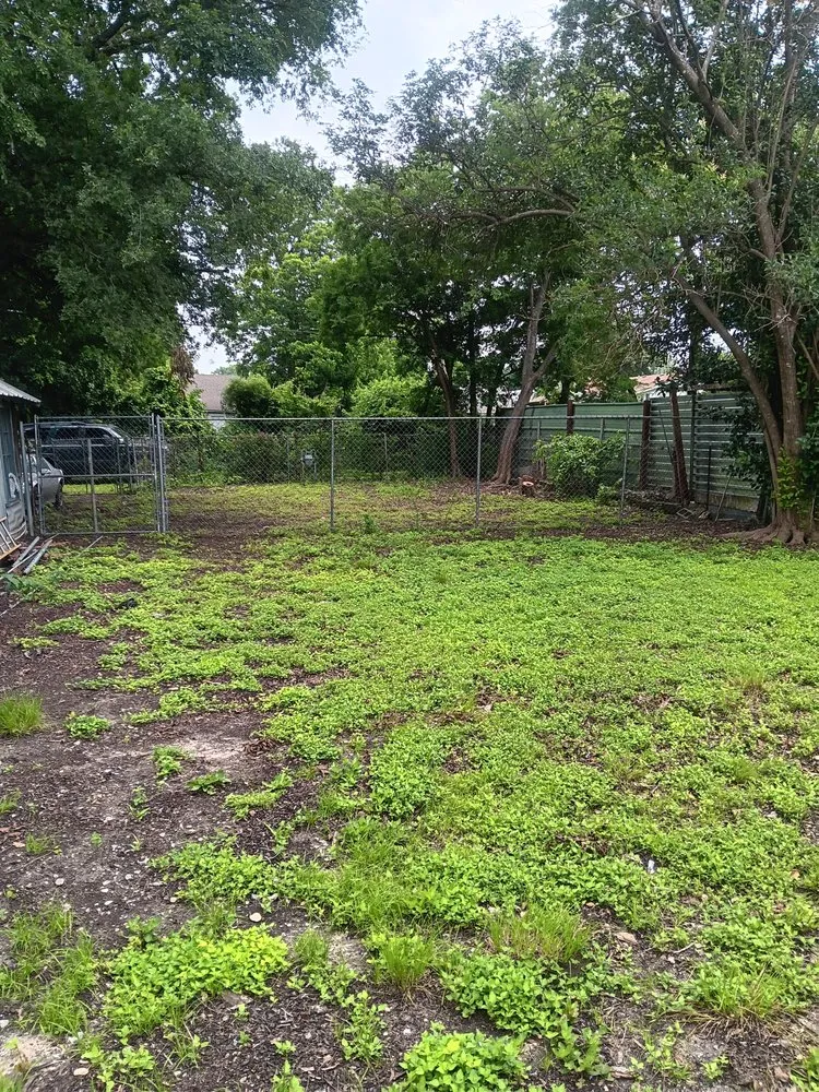 Professional landscaping services in Waco, TX - Off The Top Texas Lawn Care