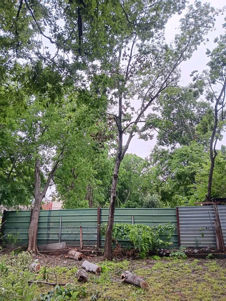 Affordable landscaping services in Waco, TX - Off The Top Texas Lawn Care