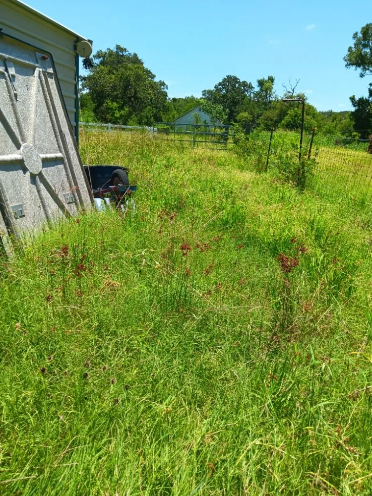 Reliable yard cleanup service experts serving Waco, TX - Off The Top Texas Lawn Care